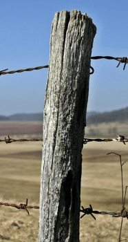 screen-shot-2017-01-31-at-7-21-41-am