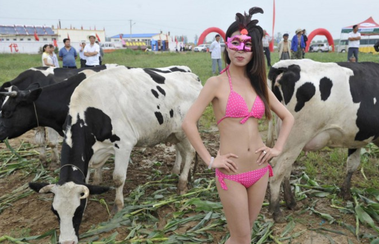 Screen Shot 2017-07-12 at 2.45.57 PM