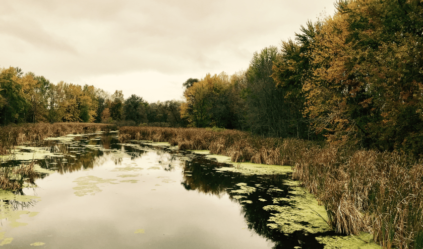 Screen Shot 2017-10-15 at 7.03.55 AM