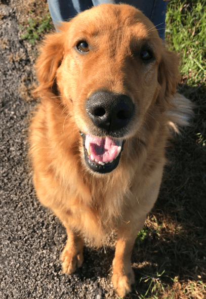 Screen Shot 2017-10-19 at 6.56.35 AM