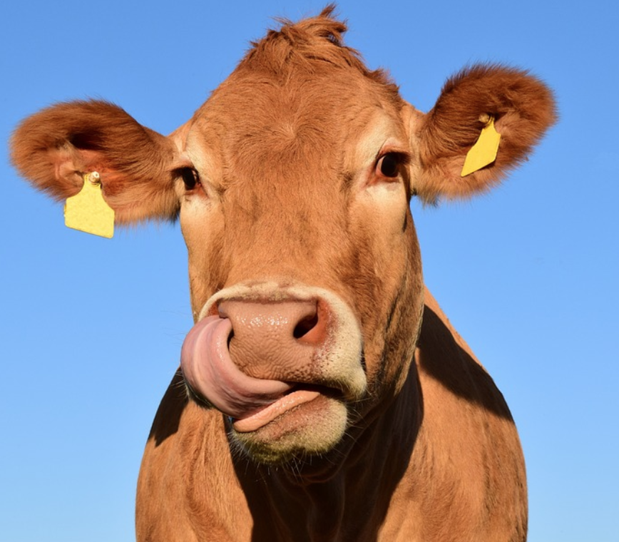 Screen Shot 2017-11-30 at 6.25.07 AM