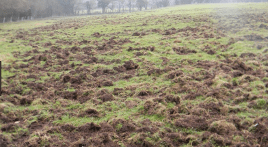 Screen Shot 2017-11-30 at 6.33.21 AM