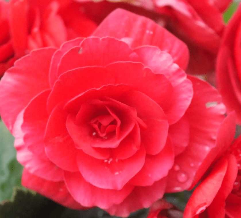 Screen Shot 2018-01-13 at 7.02.24 AM