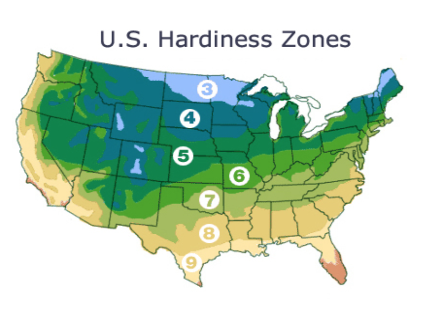 Screen Shot 2018-03-03 at 6.33.57 AM