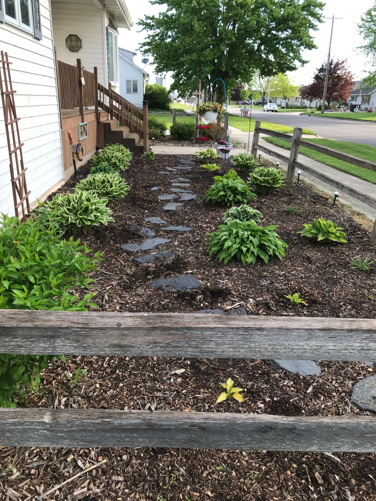 Amateur Radio & Gardening, Hey, Why&nbsp;Not