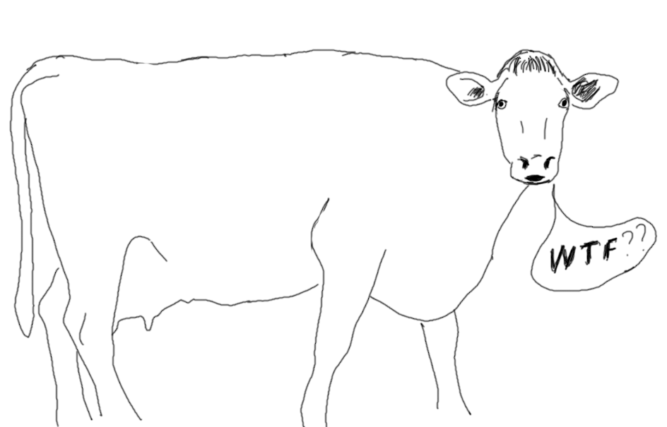 Screen Shot 2018-11-16 at 12.54.27 PM